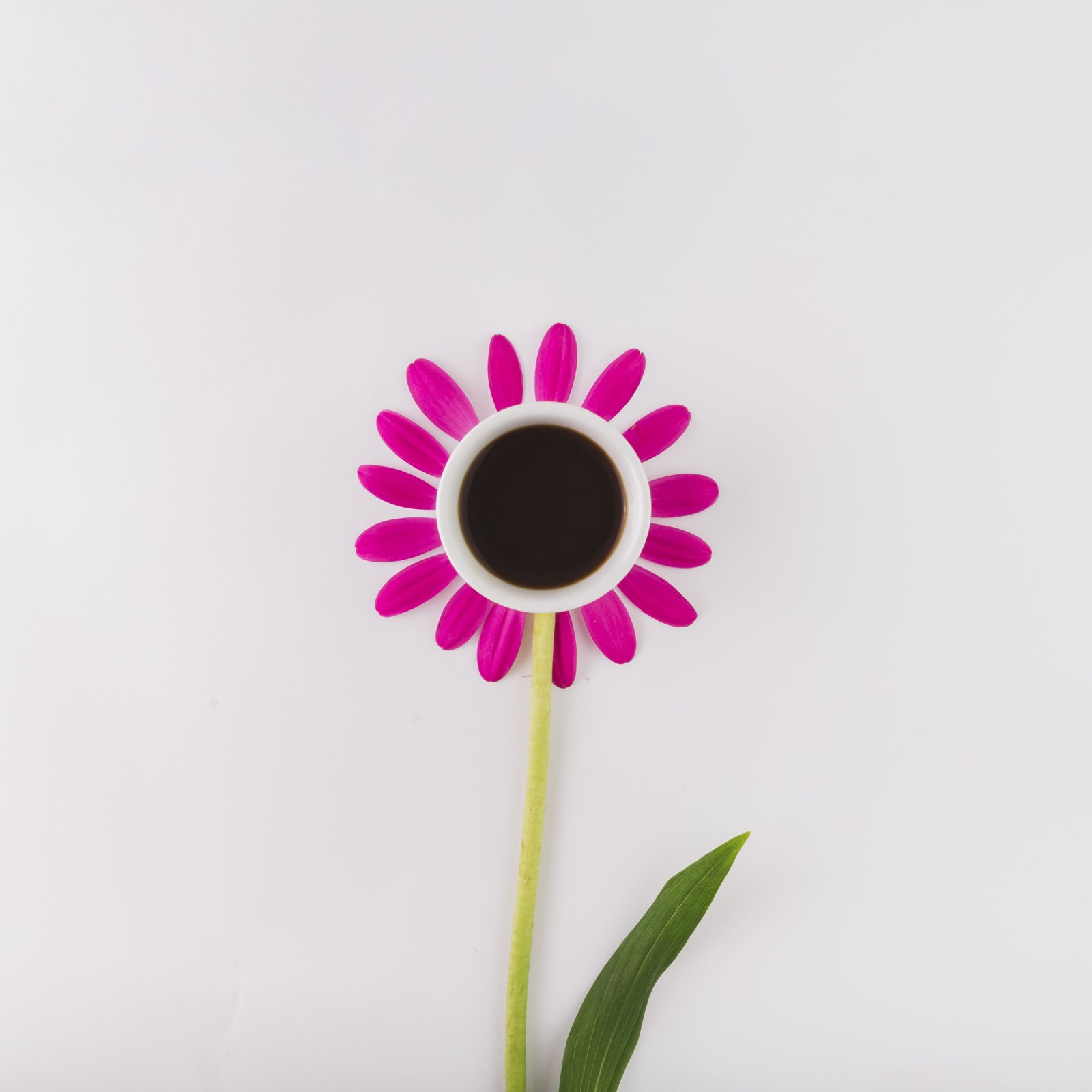 أ. أمل عبدالحميد عبدالعال